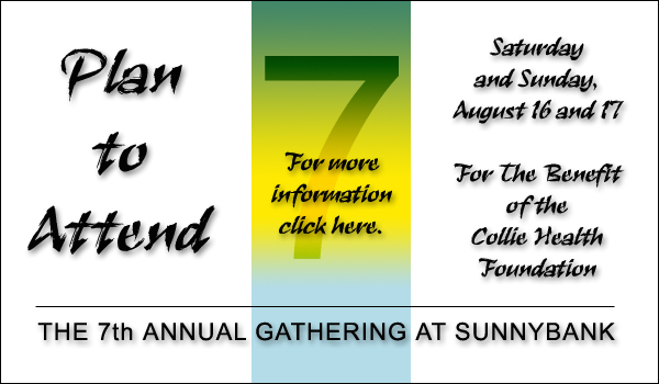 The 7th Annual Gathering at Sunnybank