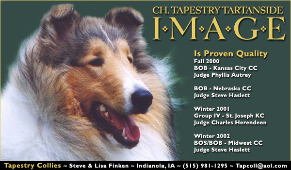 Ch. Tapestry Tartanside Image