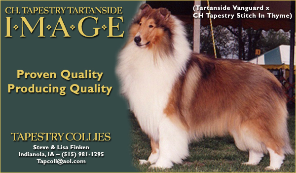 Ch. Tapestry Tartanside Image