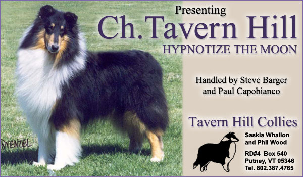 Ch. Tavern Hill Hypnotize The Moon