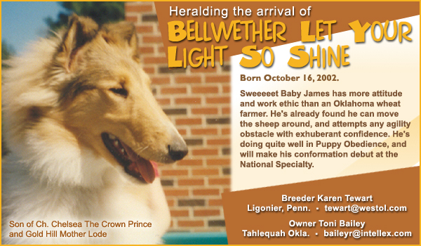 Bellwether Let Your Light So Shine