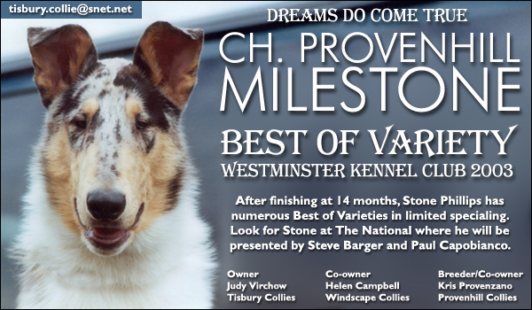 Ch. Provenhill Milestone