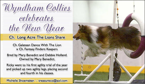 Ch. Long Acre The Lions Share