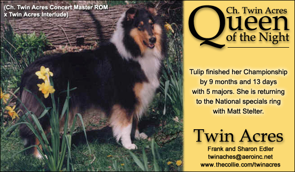 Ch. Twin Acres Queen of the Night