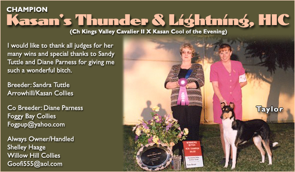 Ch. Kasan's Thunder & Lightning, HIC