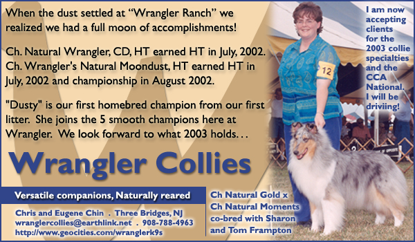 Ch. Wrangler's Natural Moondust HT