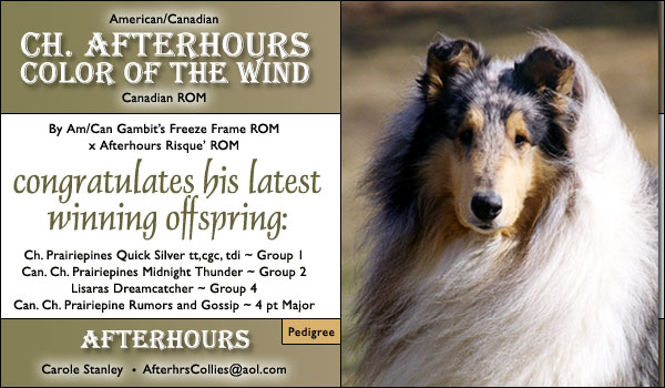 Ch. Afterhours Color of the Wind