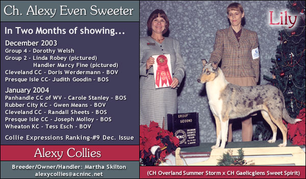 Ch. Alexy Even Sweeter