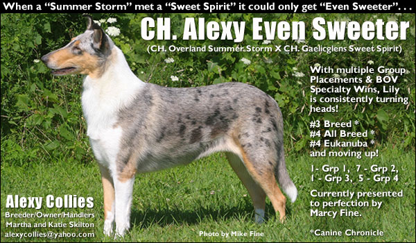 Ch. Alexy Even Sweeter