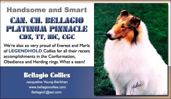 Can. Ch. Bellagio Platinum Pinnacle