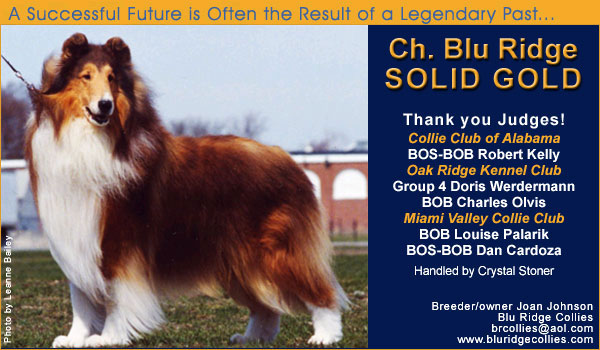 Ch. Blu Ridge Solid Gold