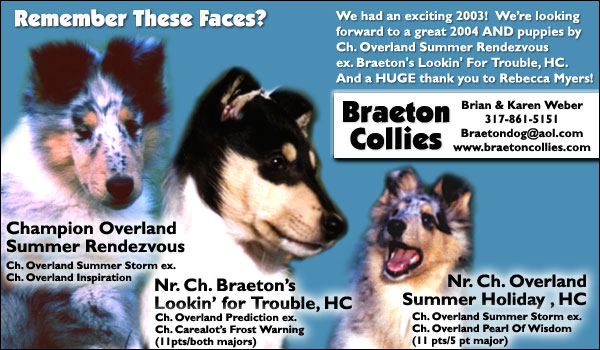 Braeton Collies