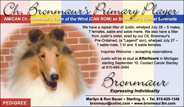 Ch. Bronmaur's Primary Player