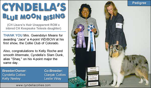 Cyndella's Blue Moon Rising