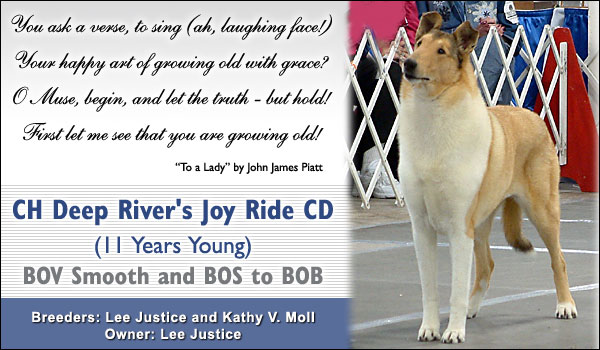 Ch. Deep River's Joy Ride