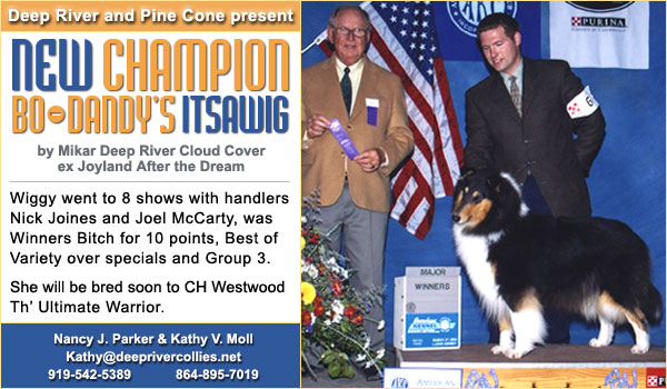 Ch. Bo-Dandy's Itsawig