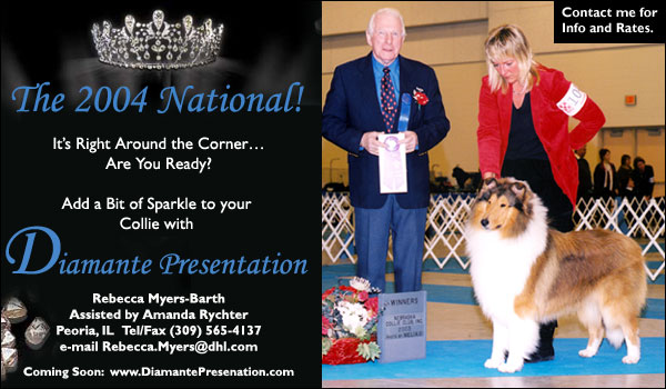 Diamante Presentation -- Rebecca Myers-Barth