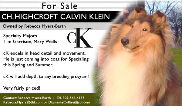 Highcroft Calvin Klein