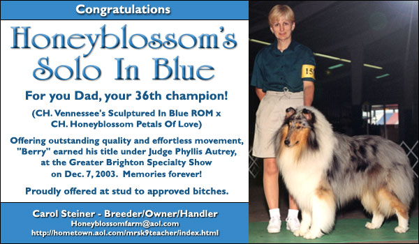 Honeyblossom's Solo In Blue