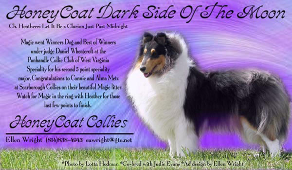 Honeycoat Dark Side Of The Moon