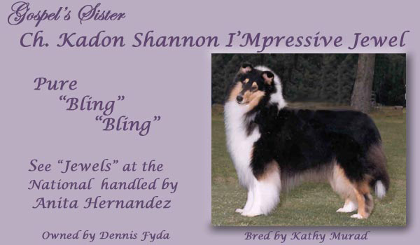 Ch. Kadon Shannon I'Mpressive Jewel