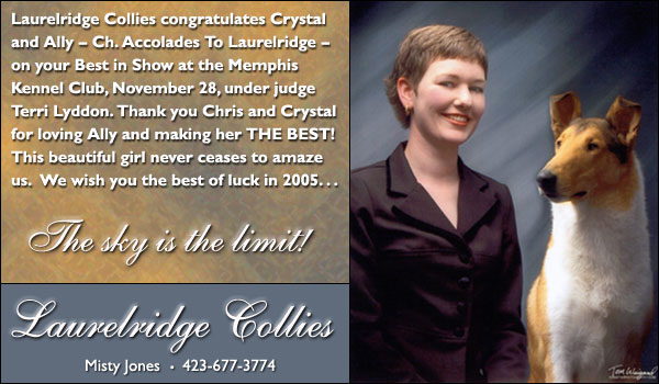 Ch. Accolades To Laurelridge