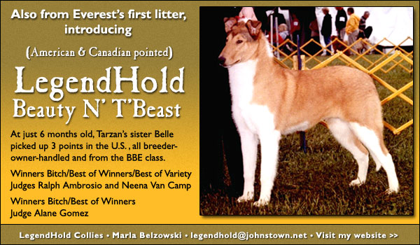 LegendHold Beauty N' T'Beast