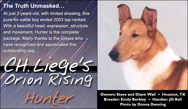 Ch. Liege's Orion Rising