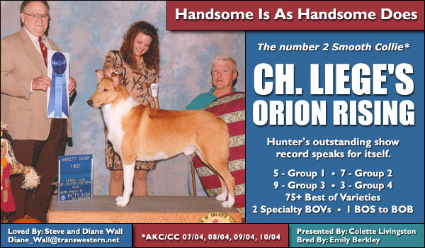 Ch. Liege's Orion Rising