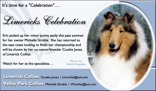 Limericks Celebration