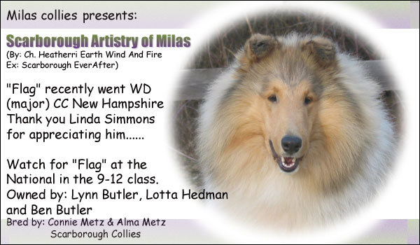 Scarborough Artistry of Milas