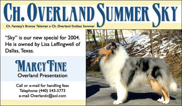 Ch. Overland Summer Sky