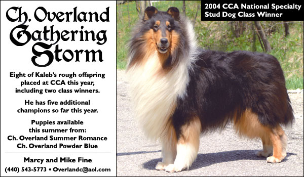 Ch. Overland Gathering Storm