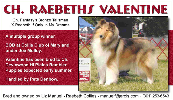 Ch. Raebeth's Valentine