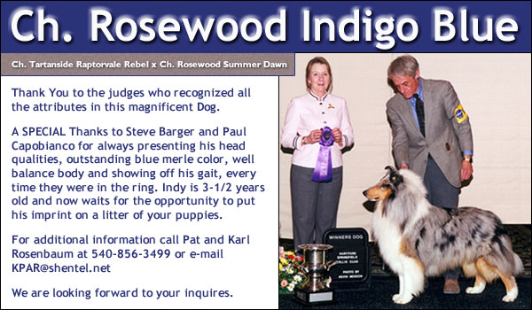 Ch. Rosewood Indigo Blue