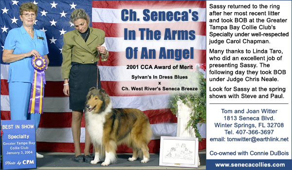 Ch. Seneca's In The Arms Of An Angel