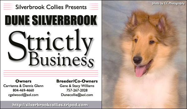 Dune Silverbrook Strictly Business