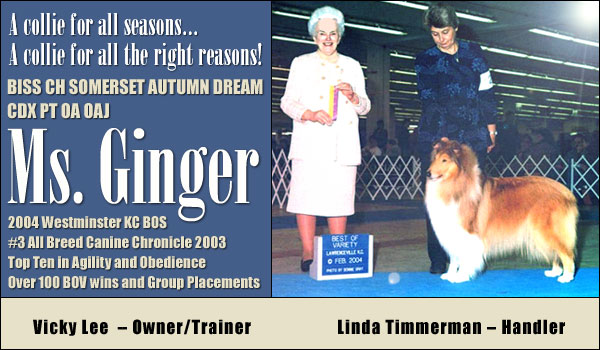 Ch. Somerset Autumn Dream