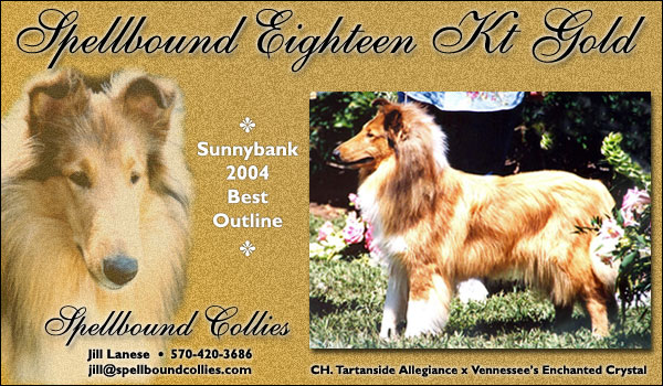 Spellbound Eighteen Kt Gold