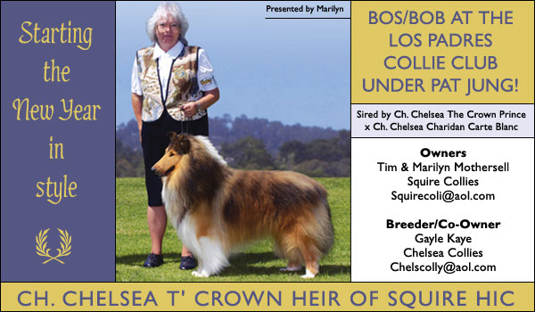 Ch. Chelsea T'Crown Heir Of Squire HIC