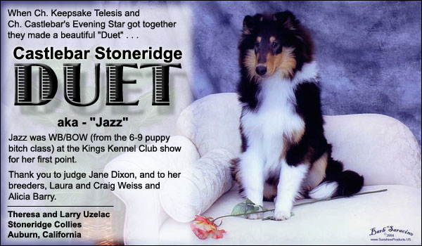 Castlebar Stoneridge Duet