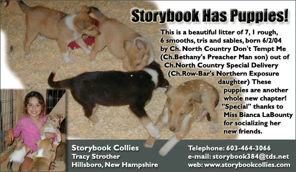 Storybook Collies