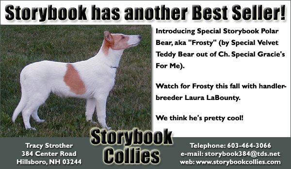 Special Storybook Polar Bear