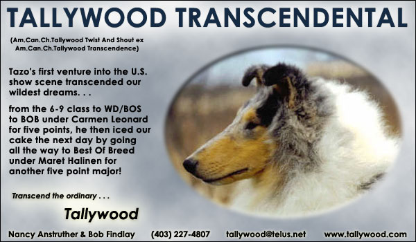 Tallywood Transcendental
