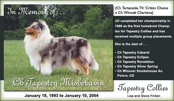 Ch. Tapestry Misbehavin