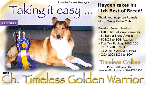Ch. Timeless Golden Warrior