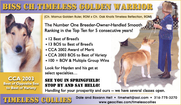 Ch. Timeless Golden Warrior