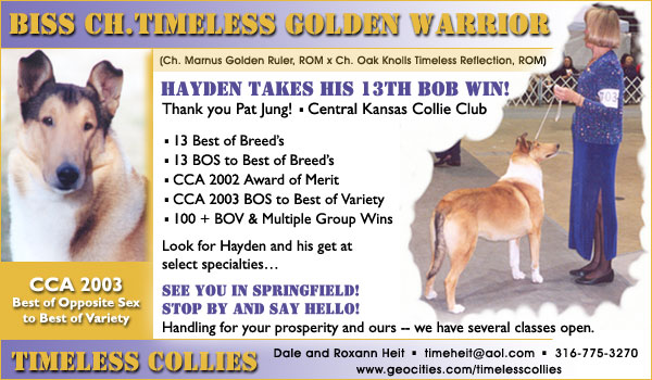 Ch. Timeless Golden Warrior