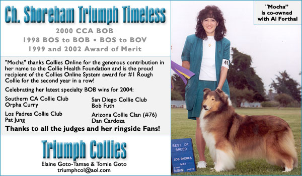 Ch. Shoreham Triumph Timeless