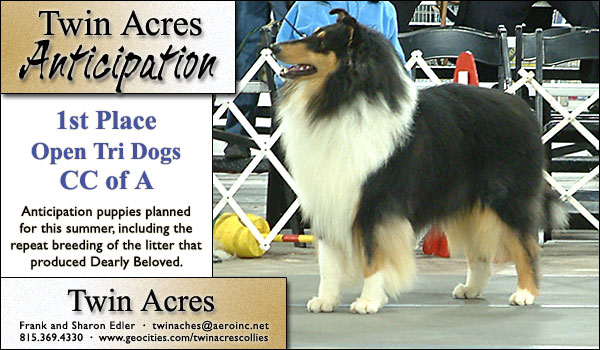 Twin Acres Anticipation